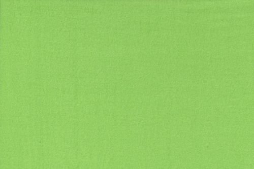 Sudadera de invierno lisa RS0202-023 Lime