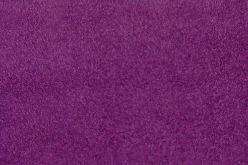 Antelina violet