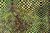 Terciopelo estampado Anaconda vert
