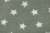 Sherpa 5011 Stars Dusty Mint